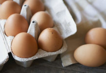 «Яйца Головкина» из Шымкента показали на выставке в Астане яйца