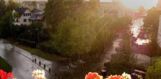 Дожди, град и заморозки обещают Шымкенту синоптики