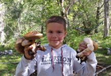 Грибной сезон в ЮКО в самом разгаре