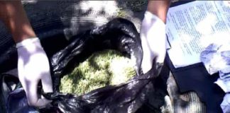 В Туркестане задержан подозреваемый в наркоторговле