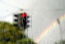 Грозы, шквал и сильный дождь: какая погода ждет южан 18 мая В Шымкенте жарко и гроза