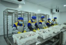 В Шардаре запущен еще один рыбный завод