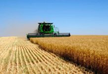 В Байдибеке начался сбор зерновых