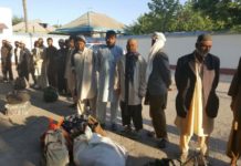 Южноказахстанские пограничники задержали афганцев-травников