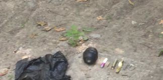 В Шымкенте оцепили улицу Майлы кожа