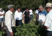 Сапарбек Туякбаев: «Мы должны быть готовыми к борьбе с вредителями» Сапарбек Туякбаев: "Мы должны быть готовыми к борьбе с вредителями"