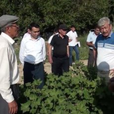 Сапарбек Туякбаев: «Мы должны быть готовыми к борьбе с вредителями» Сапарбек Туякбаев: "Мы должны быть готовыми к борьбе с вредителями"