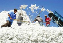 Как живут сегодня бывшие советские (продолжение)