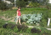 Теперь можно: детям — во двор, взрослым — на дачу