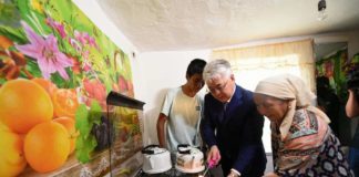 В ЮКО завершена газификация Тюлькубасского района Тулькубасский район полностью обеспечен прородным газом