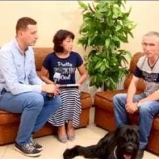 Душа в душу. Как сделать из собаки человека?
