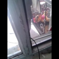 На дачах «Кайнар-Булак» грубо нарушают технику безопасности при подключении электричества