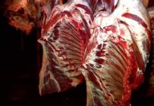 Откуда мясо попадает на прилавки шымкентских базаров и магазинов