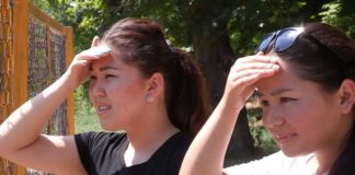 Стройные и грациозные — антилопы в программе «Зоопарк»