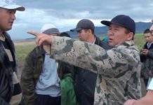 Сильнейший дождь уничтожил лошадей в шымкентском поселке Текесу