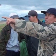 Сильнейший дождь уничтожил лошадей в шымкентском поселке Текесу