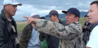 Сильнейший дождь уничтожил лошадей в шымкентском поселке Текесу