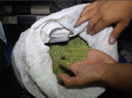 Житель Казыгурта на багажнике авто вез 9 кило наркотиков