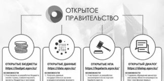 Казахстанцы могут самостоятельно управлять государством