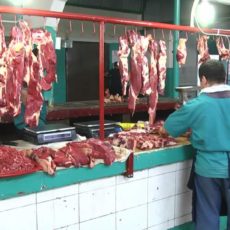 Лаборатории Шымкента начали усиленную проверку мяса в городе