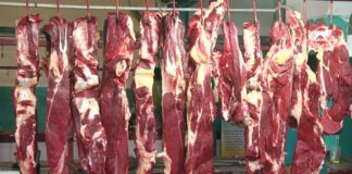 В Казахстане за один месяц зарегистрировано 16 подтвержденных случаев сибирской язвы