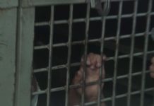 Пристававшего к школьнице рецидивиста арестовали в Шымкенте