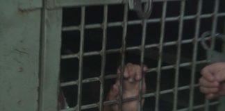 В ЮКО сотрудники мест заключения и правозащитники сели за круглый стол