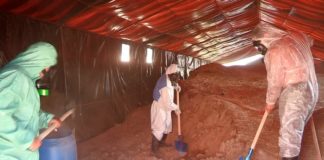 В Шымкенте начались работы по перезахоронению химических отходов