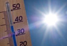 Когда жара начнет отступать в Шымкенте, рассказали синоптики