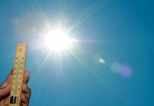 Неделя в Шымкенте будет жаркой Солнце. Лето. Жара