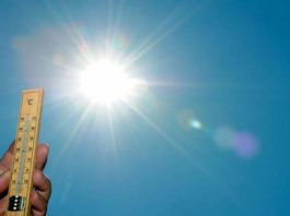 Солнце. Лето. Жара