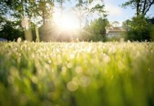 Праздничная погода в Шымкенте 6 июля