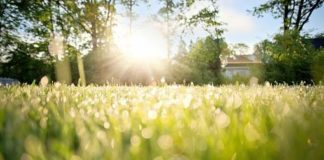 Какими будут апрель, май и лето в Казахстане рассказали синоптики