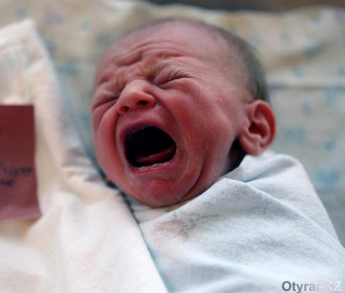 Иллюстративное фото