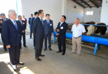 Карим Масимов в ЮКО обсудил с аграриями вопросы микрокредитования и занятости