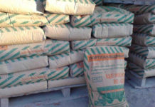 Спрос на казахстанский цемент растет в Узбекистане Мешки с цементом