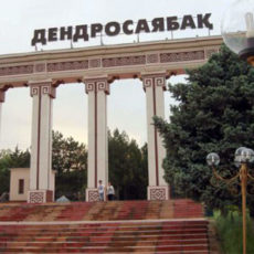 Стоит ли округлять плату за вход в дендропарк Шымкента Дендропарк Шымкента
