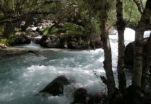 В реке Сайрам су погиб мужчина, который пытался спасти упавшего в воду сына