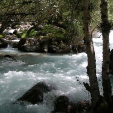 В реке Сайрам су погиб мужчина, который пытался спасти упавшего в воду сына