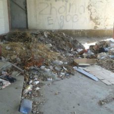 ОТКРЫТЫЙ АКИМАТ: дворники не вывозят мусор, а разметают по углам