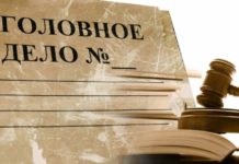 В коррупции уличили фискалы Шымкента своего сотрудника Уголовное дело