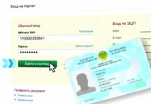 Пошаговая инструкция получения справки о пенсионных отчислениях онлайн