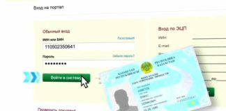 Пошаговая инструкция получения справки о пенсионных отчислениях онлайн