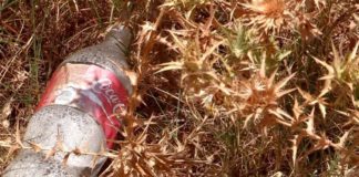 В ЮКО берег реки Боралдай превращается в мусорную свалку