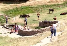 Дело о природных родниках в селе Коксаек рассмотрели в суде