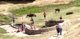 Дело о природных родниках в селе Коксаек рассмотрели в суде