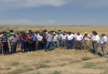 В Казыгуртском районе ЮКО не осталось свободных земель для сельского хозяйства