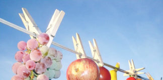 Как правильно засушить и заморозить овощи на зиму