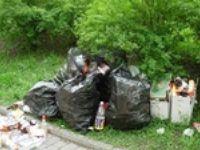 Розыск непорядочных парней, засоряющих наш Шымкент