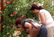 В садово-огородный тур отправились жители Шымкента
